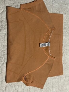 Ivivva Cropped Seam-Detail Short Sleeve Top in Rust